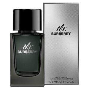 BB MR BURBERRY EDP 100ML