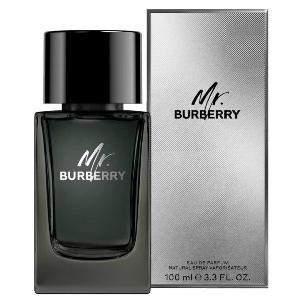 BB MR BURBERRY EDP 100ML